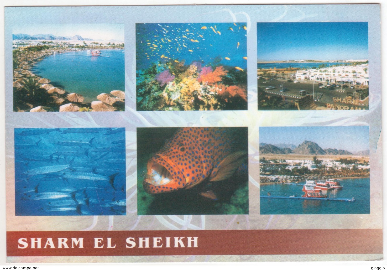 °°° 13982 - EGYPT - SHARM EL SHEIKH - 2005 With Stamps °°° - Sharm El Sheikh