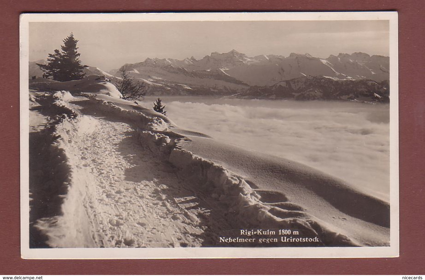 Schwyz - RIGI-KULM - Nebelmeer Gegen Urirotstock - Altri & Non Classificati