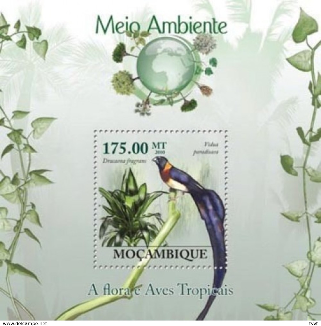 Mozambique, 2010. [moz10126] Flora & Tropical Birds. (s\s+block) - Sonstige & Ohne Zuordnung