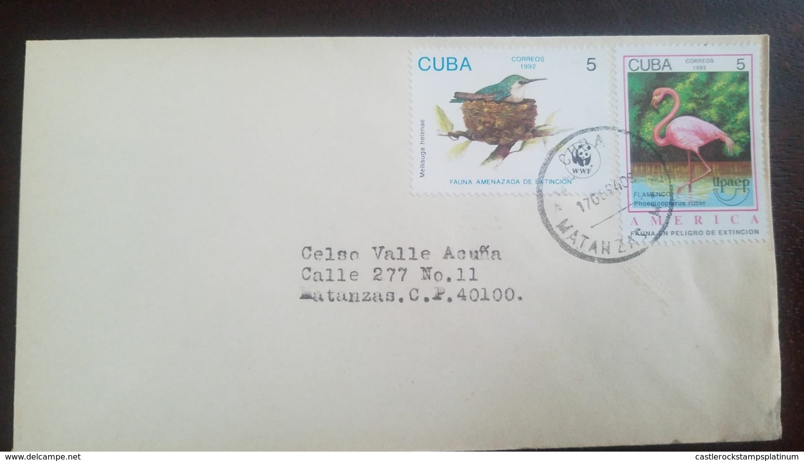 O) 1994 CUBA - CARIBBEAN, AMERICA UPAEP - ENDANGERED SPECIES - PHOENICOP BIRD SC 3527, WWF ENDANGERED SPECIE -SITTING ON - Cartas & Documentos