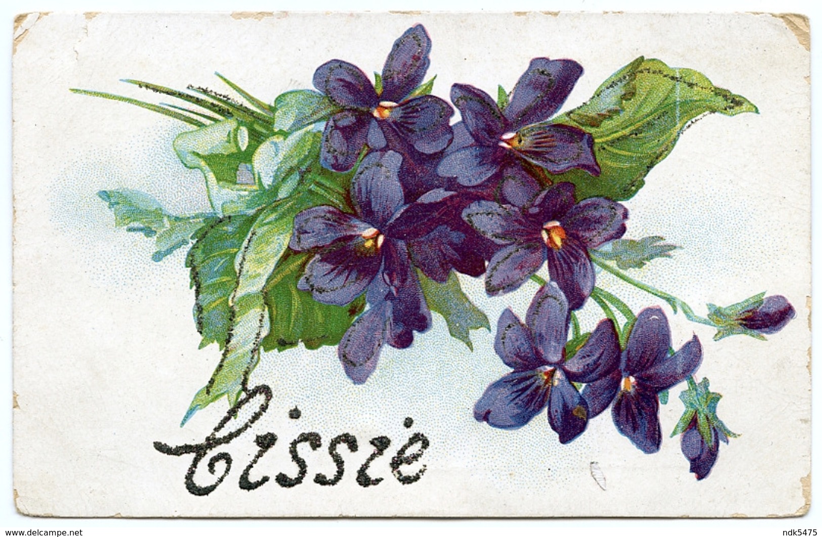 CISSIE : NAME CARD / ADDRESS - HULL, WEST DOCK AVENUE, NORTH TERRACE (WAINE) - Hull