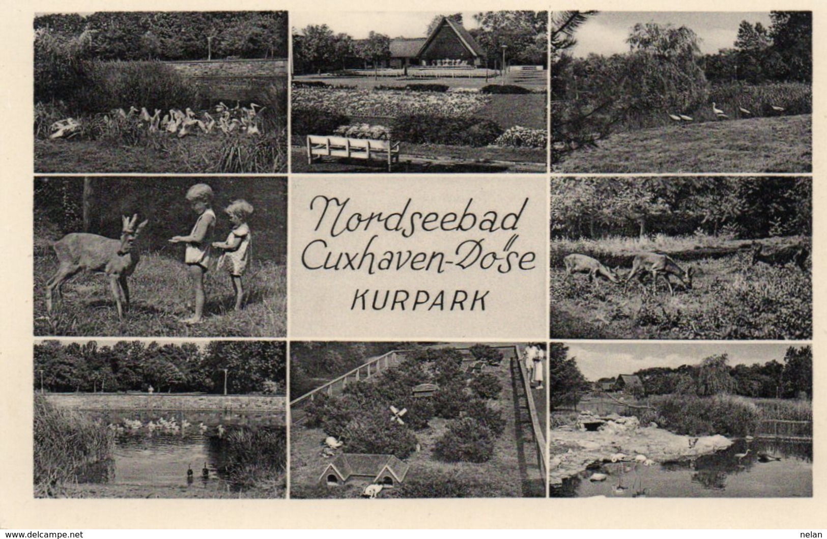 NORDSEEBAD-CUXHAVEN-DOSE-KURPARK-NON VIAGGIATA - Cuxhaven