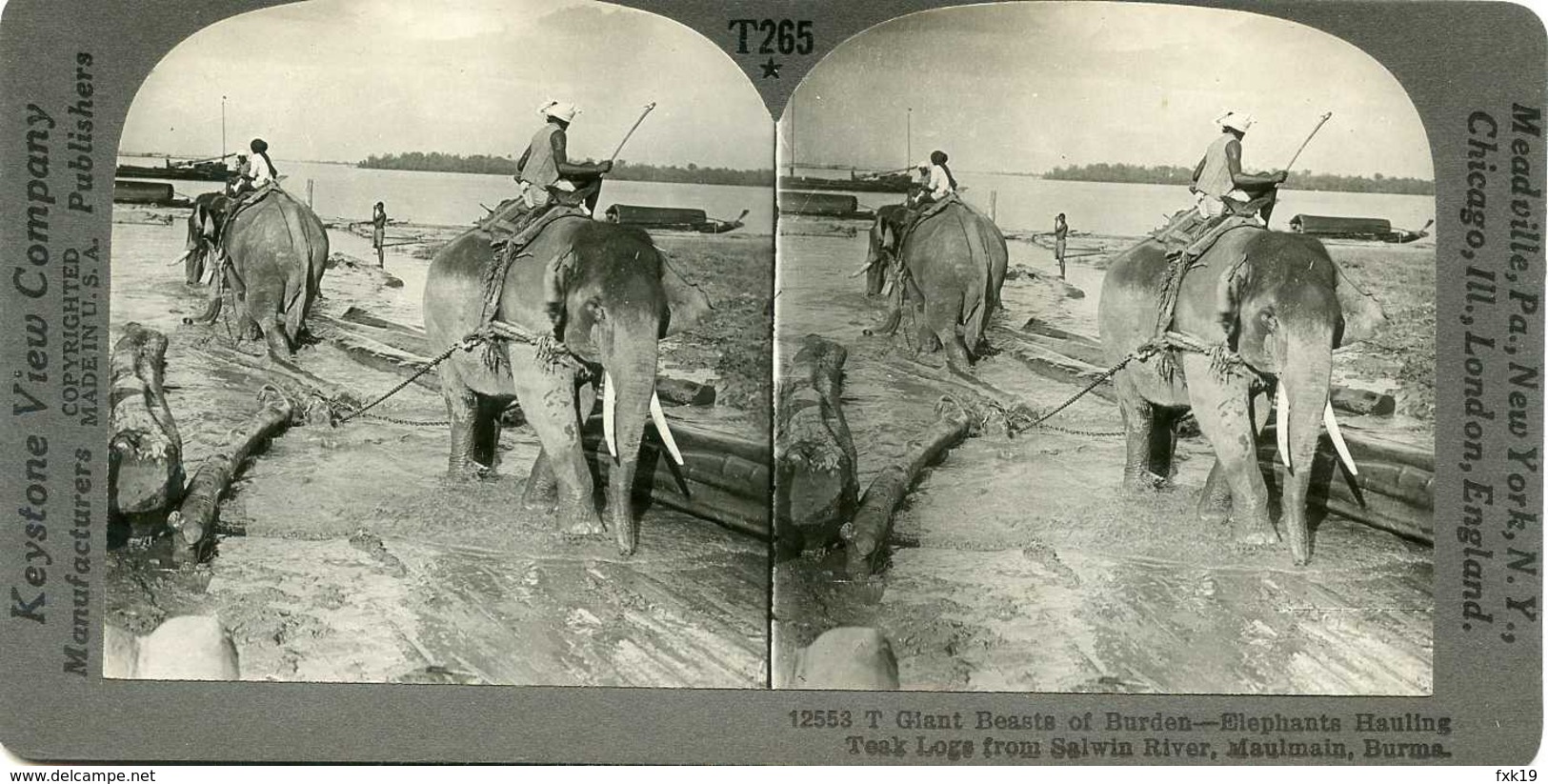 Burma Myanmar MAULMAIN Elephant Hauling Teak Logs From Salwin River 12553 T265 18560 - Fotos Estereoscópicas