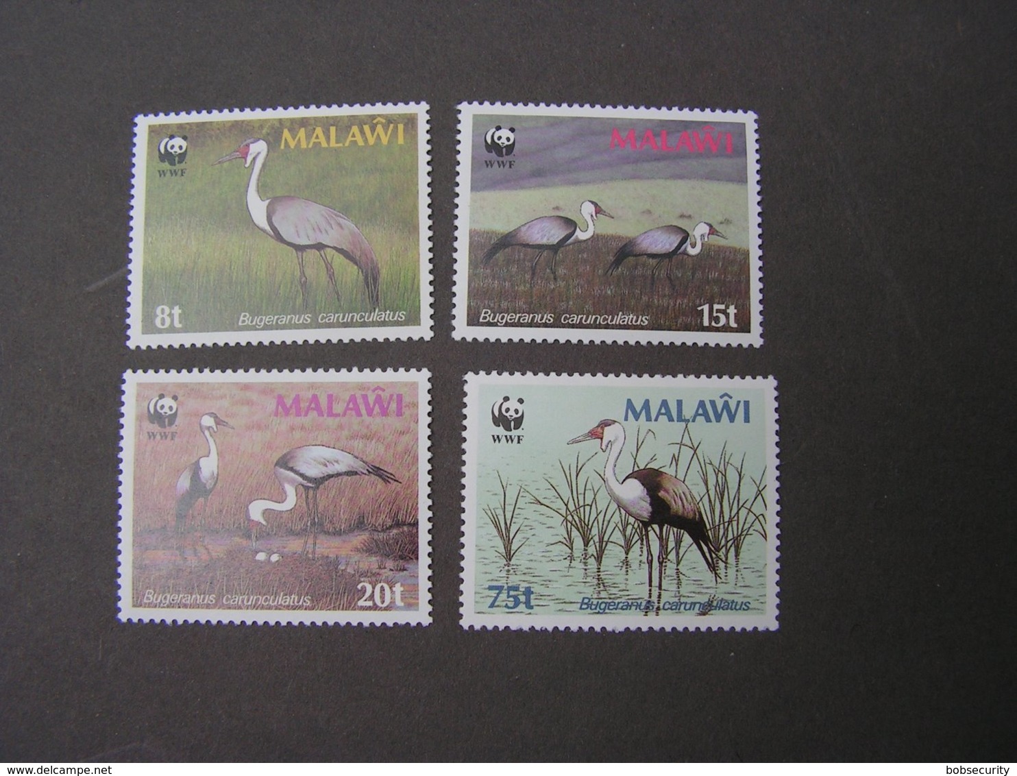 Malawi   WWF  ** MNH  € 19,00 - Malawi (1964-...)