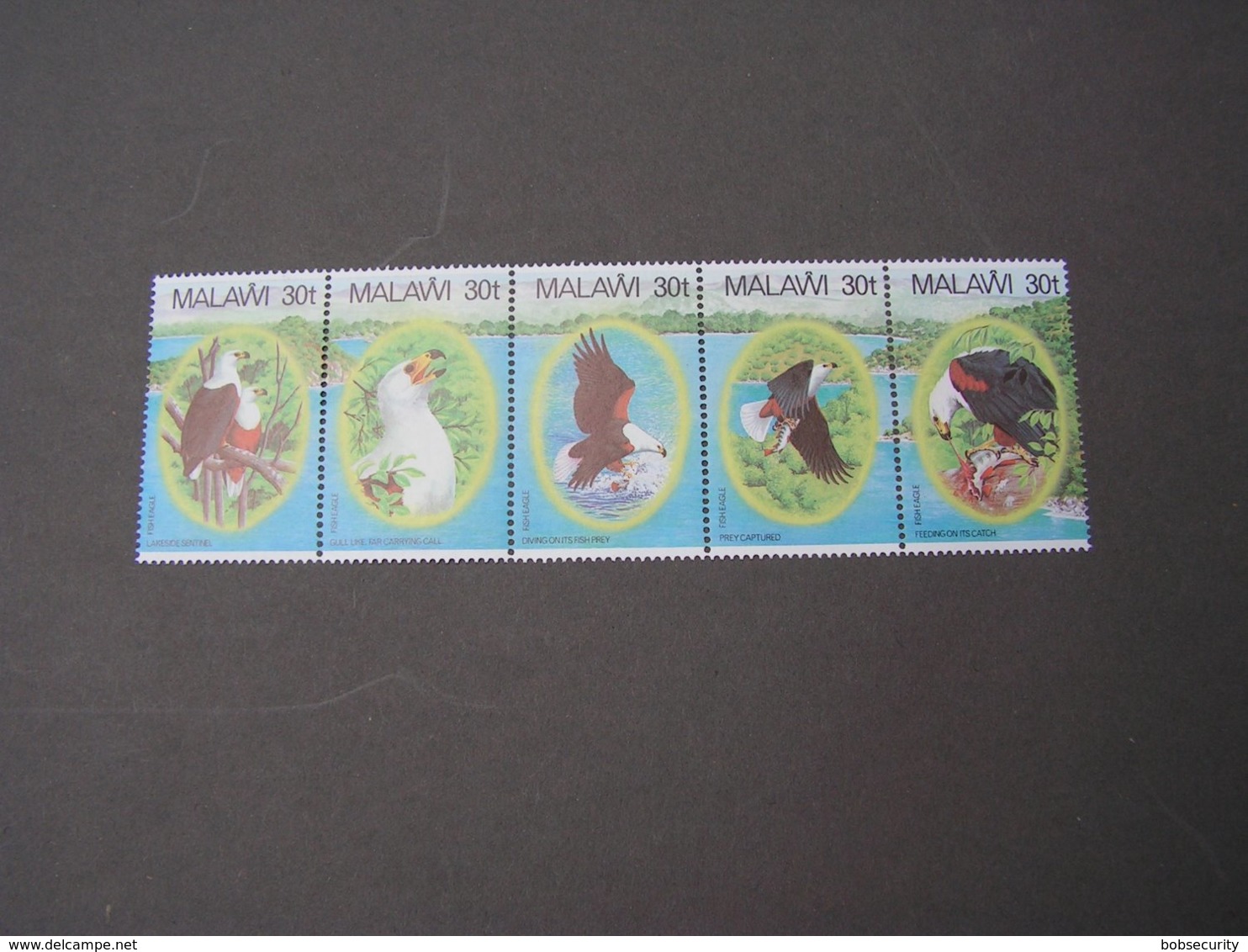 Malawi   Birds   ** MNH  € 11,00 - Malawi (1964-...)