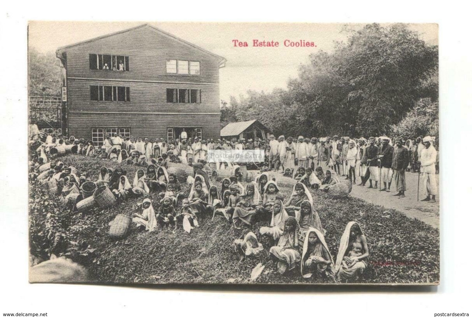 Ceylon - Tea Estate Coolies, Child Labour - Old Postcard - Sri Lanka (Ceylon)