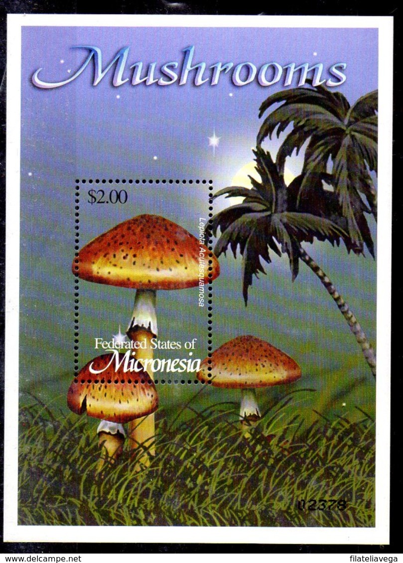 Micronesia Hoja Bloque Nº Yvert 116 ** SETAS (MUSHROOMS) - Mikronesien