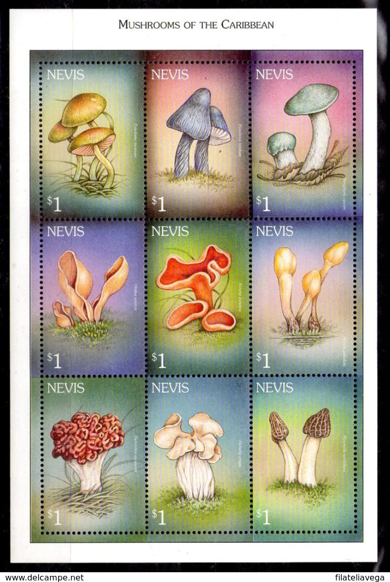 Nevis Serie Nº Yvert 1505/13 ** SETAS (MUSHROOMS) - St.Cristopher-Nevis & Anguilla (...-1980)