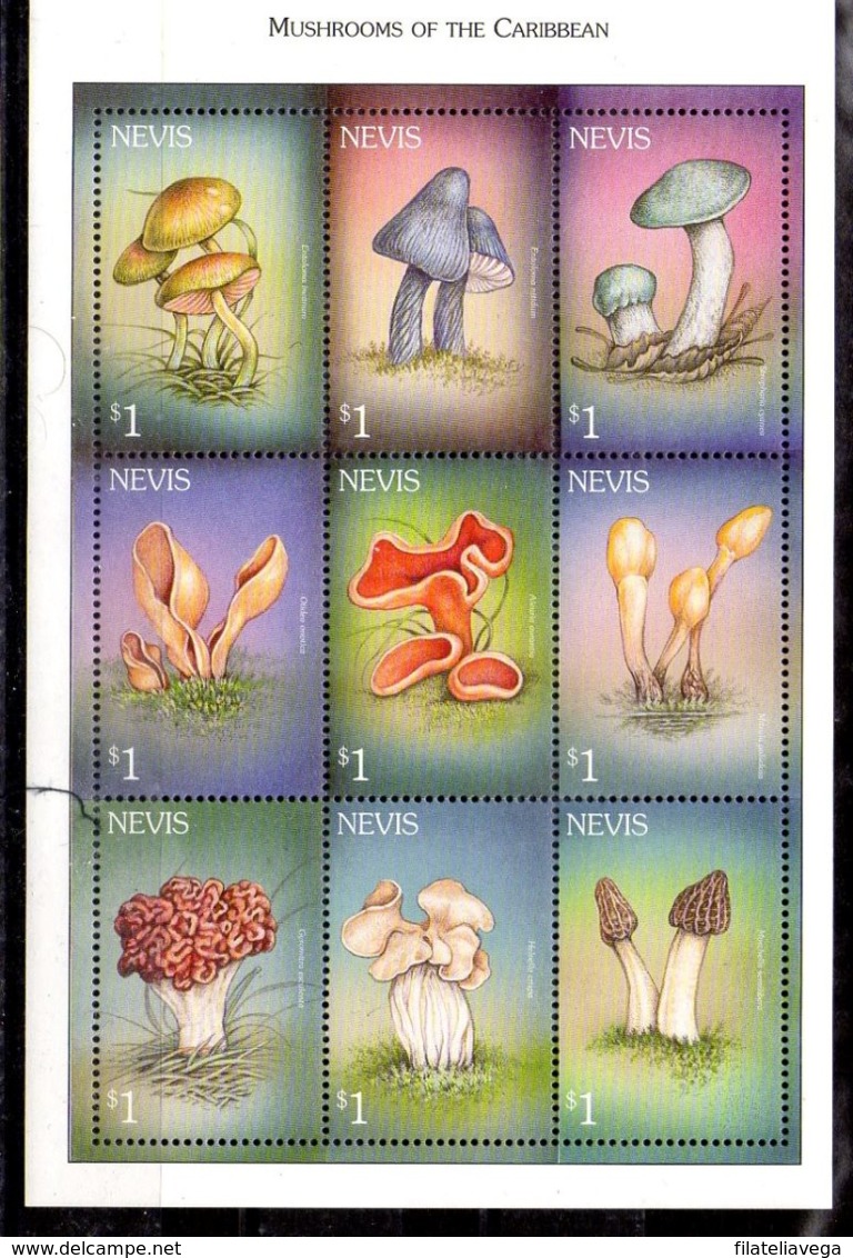 Nevis Serie Nº Yvert 1505/13 ** SETAS (MUSHROOMS) - San Cristóbal Y Nieves - Anguilla (...-1980)