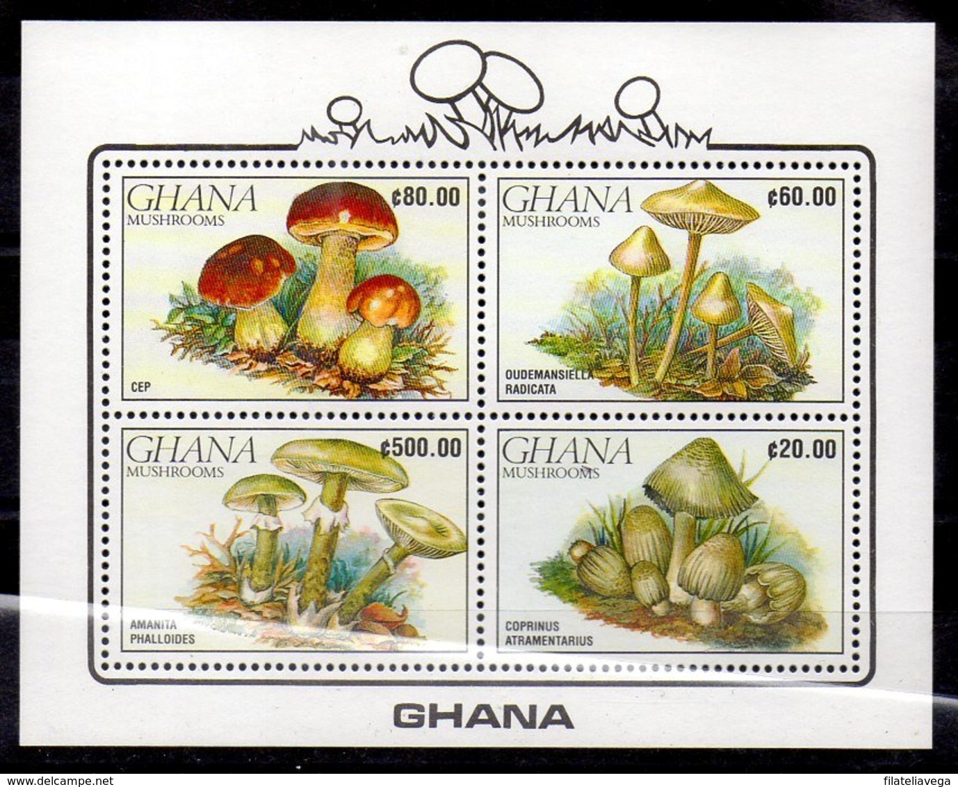 Ghana Hoja Bloque Nº Yvert 163 ** SETAS (MUSHROOMS) - Hongos