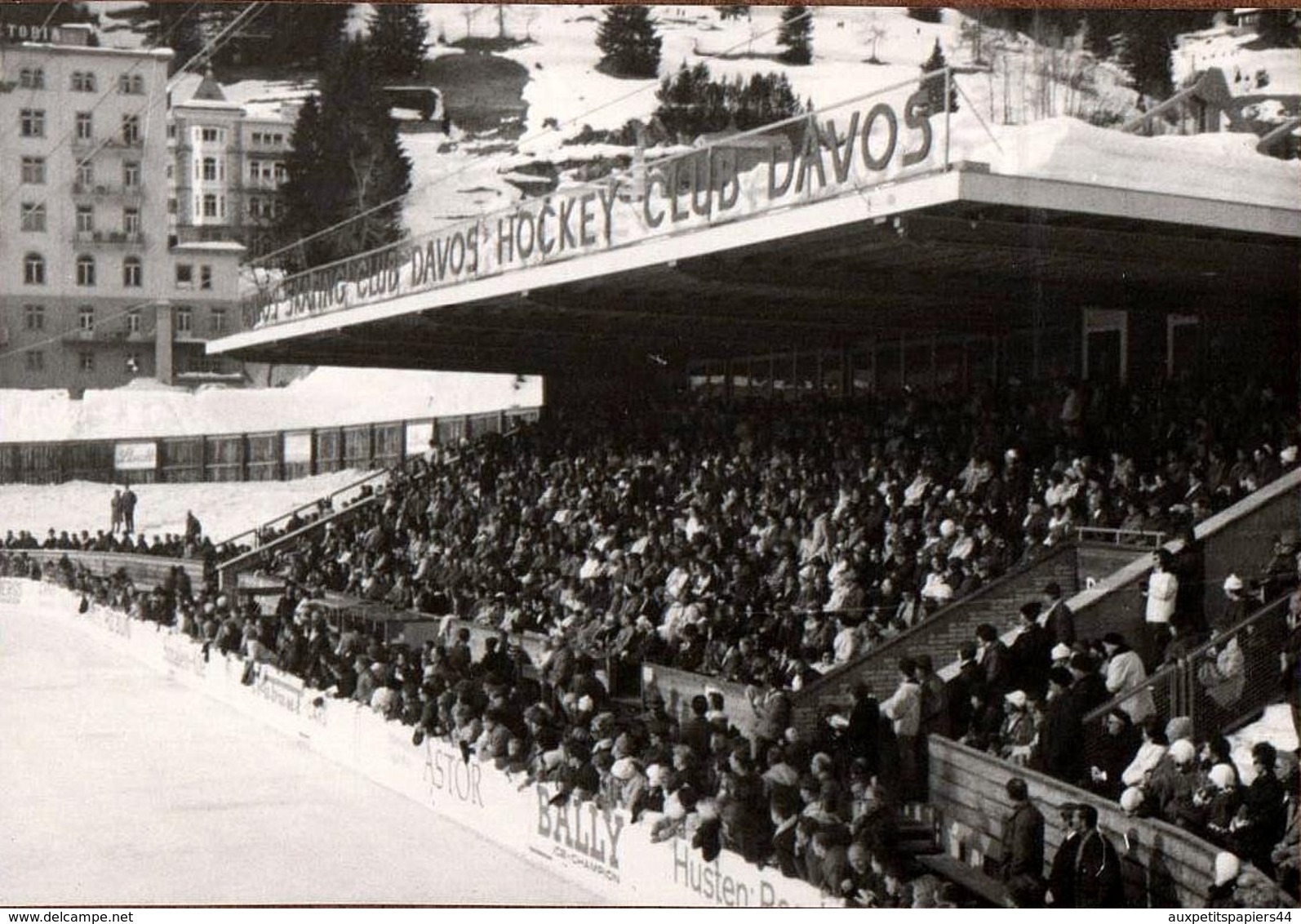 Photo Originale Suisse En Direct De La Patinoire Du Hockey Club Davos Vers 1960 - Pin-ups