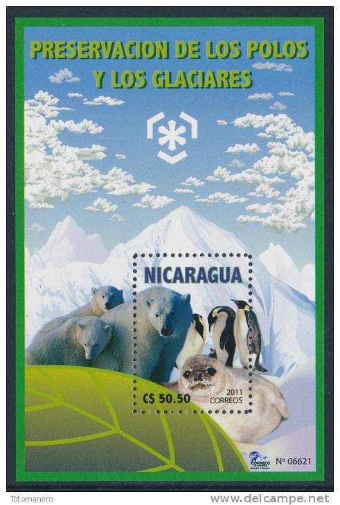 NICARAGUA 2011, IPY International Polar Year - Preserve The Polar Regions And Glaciers Minisheet** - Preserve The Polar Regions And Glaciers