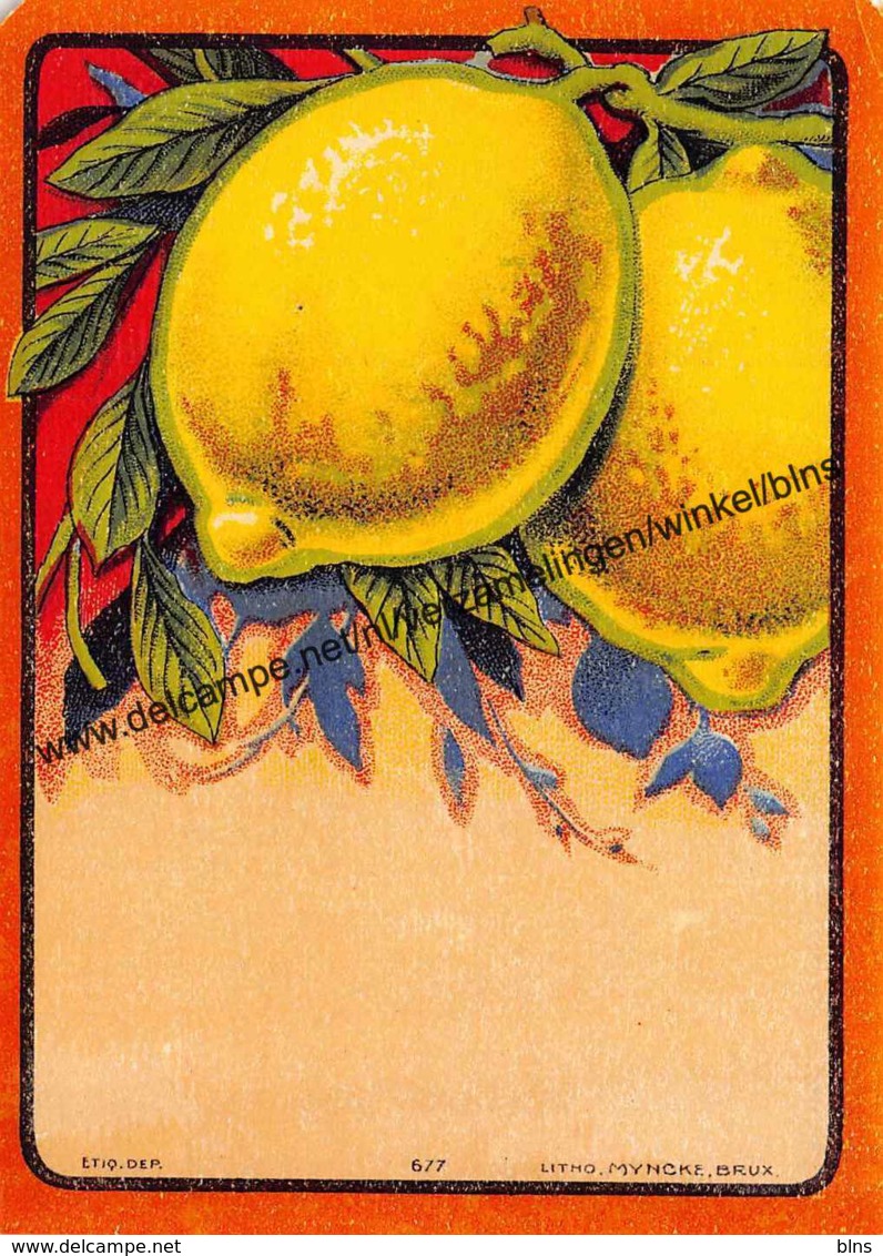 Citron - Litho Myncke Bruxelles - 12x8,5cm - Autres & Non Classés