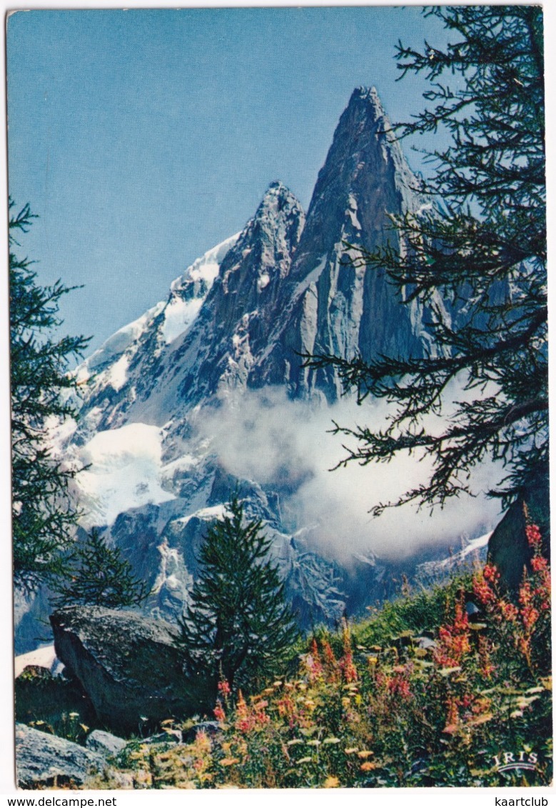 Chamonix - Mont Blanc -Les Drus Et L'Aiguille Verte Depuis Le Montenvers -  (Haute-Savoie) - Chamonix-Mont-Blanc