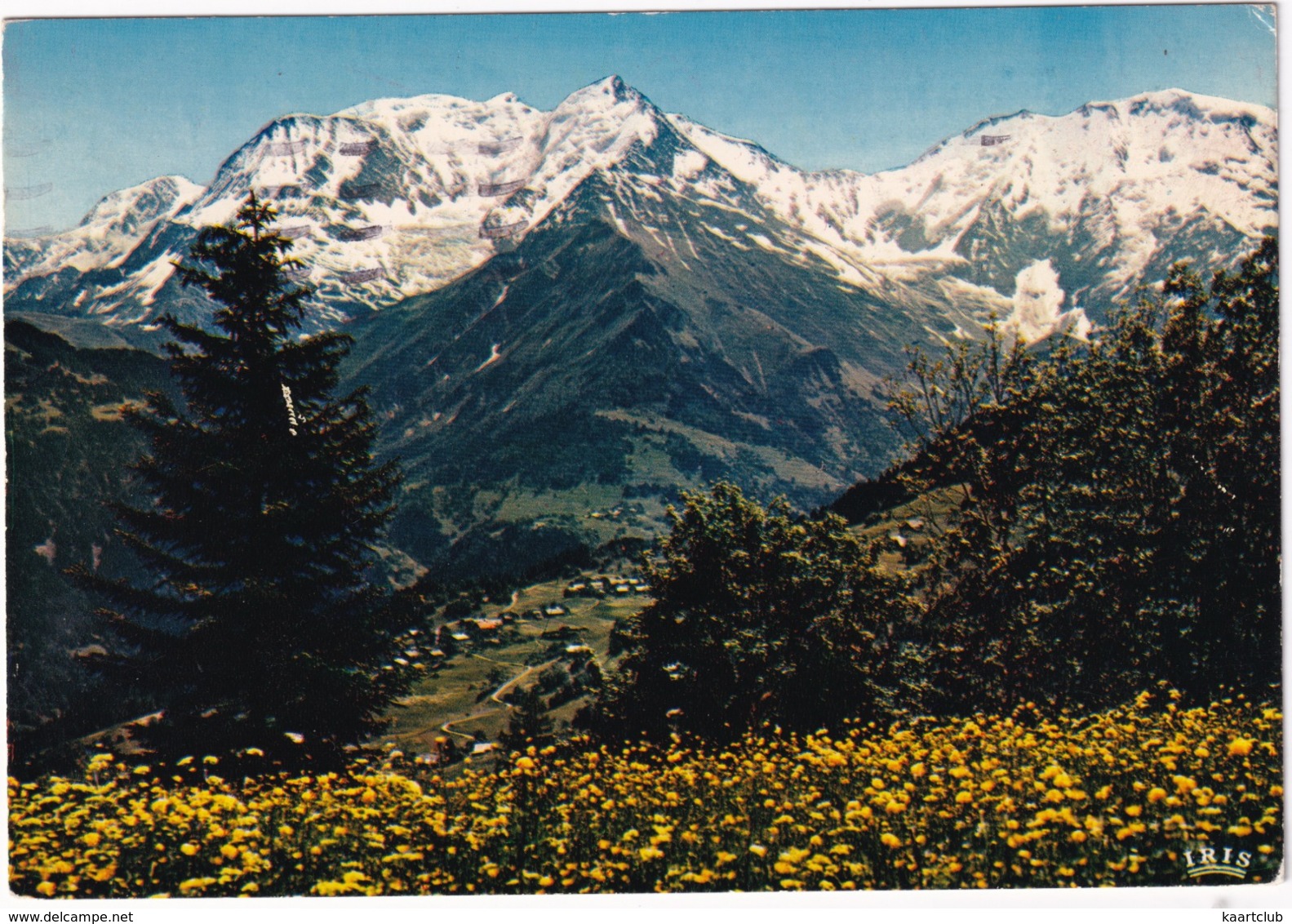 Panorama Sur Le Massif Du Mont-Blanc  - (Haute-Savoie) - Chamonix-Mont-Blanc