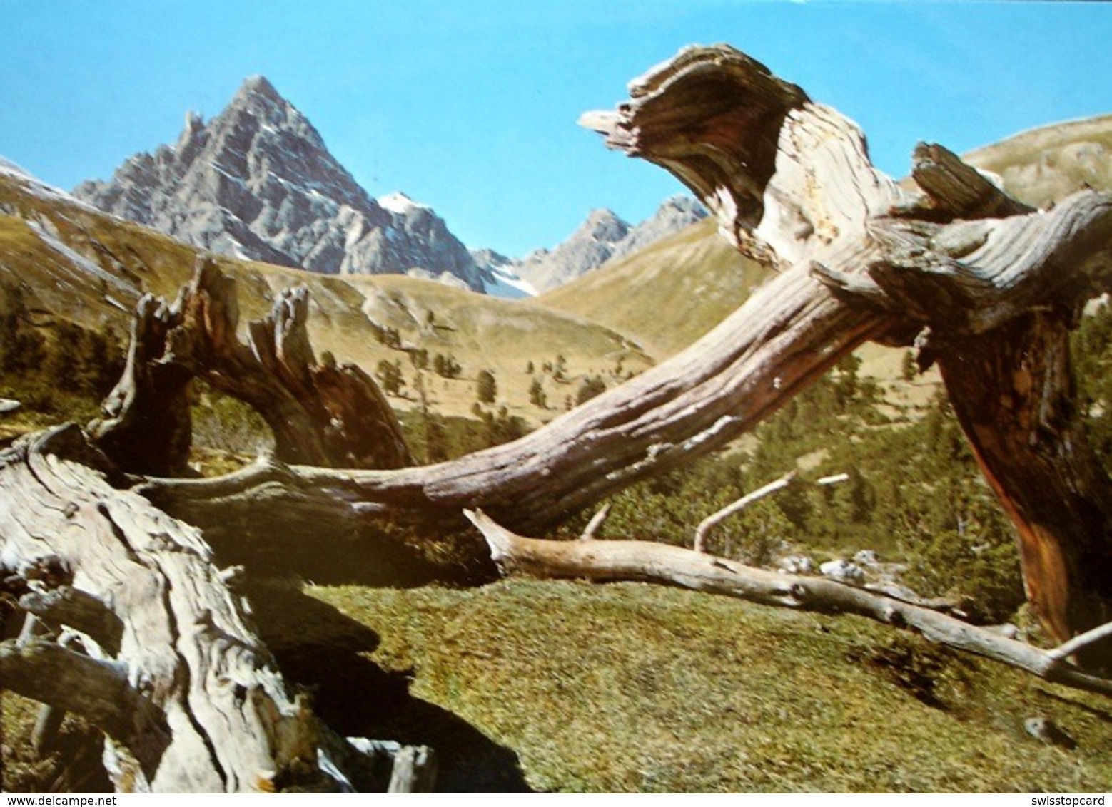 TSCHIERV Val Müstair Val Mingèr Schweiz. Nationalpark - Val Müstair