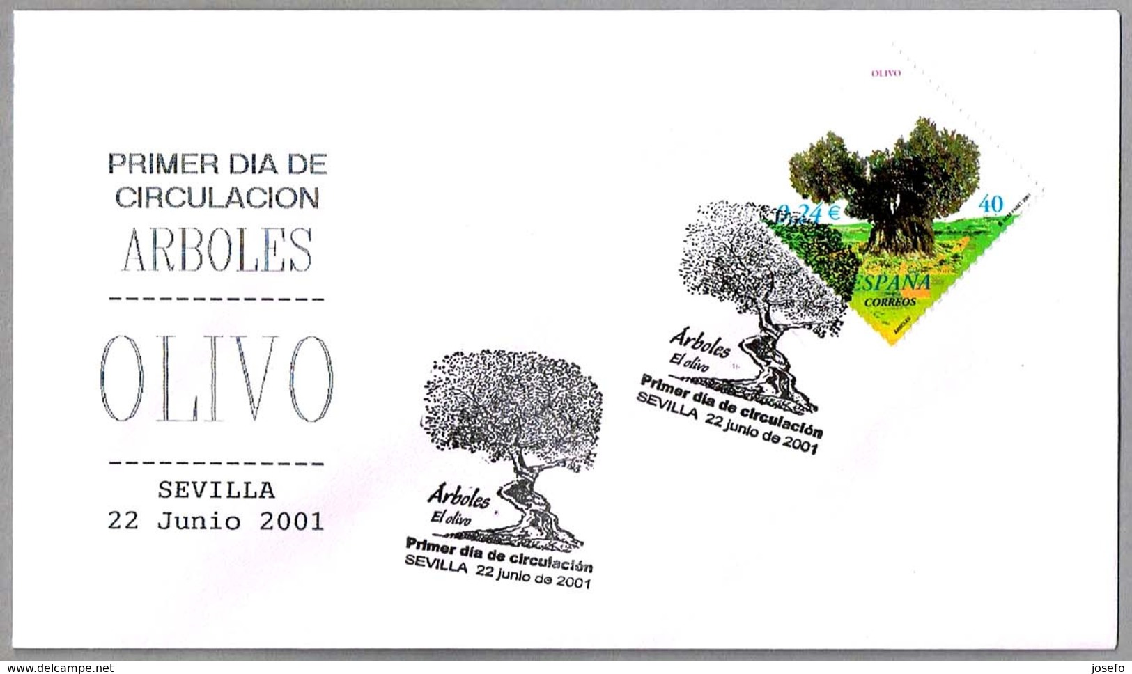 OLIVO - OLIVE - OLIVEBAUM. SPD/FDC Sevilla, Andaucia, 2001 - Árboles