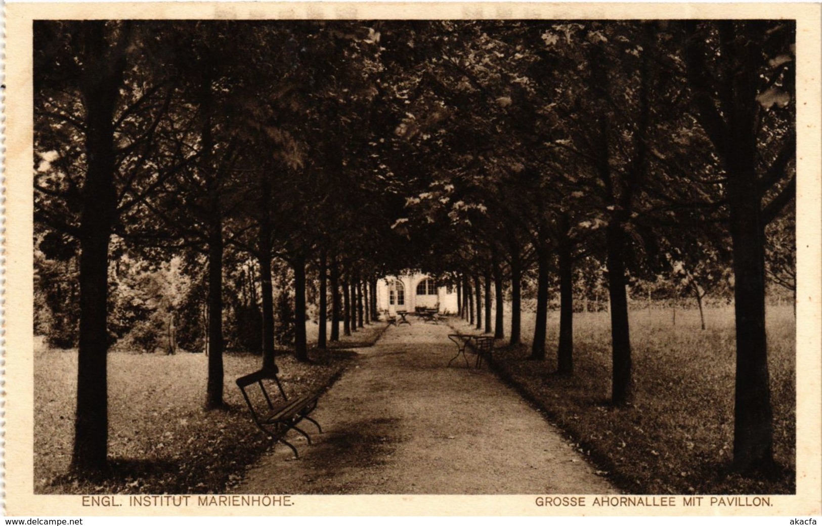 CPA AK Simbach Grosse Ahornallee Mit Pavillon GERMANY (891948) - Simbach