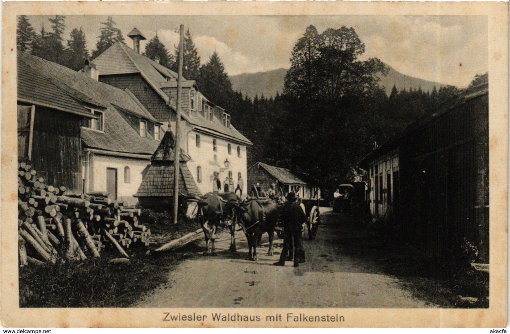 CPA AK Zwiesel Waldhaus Mit Falkenstein GERMANY (892042) - Zwiesel