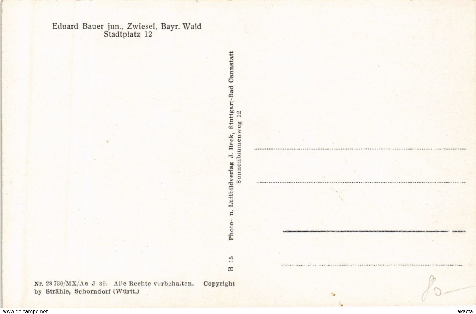 CPA AK Zwiesel Ostmark Vom Flugzeug Aus GERMANY (892067) - Zwiesel