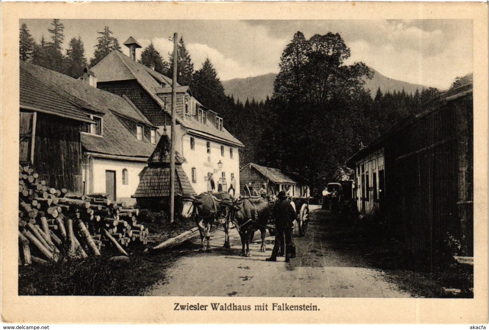 CPA AK Zwiesel Waldhaus Mit Falkenstein GERMANY (892104) - Zwiesel