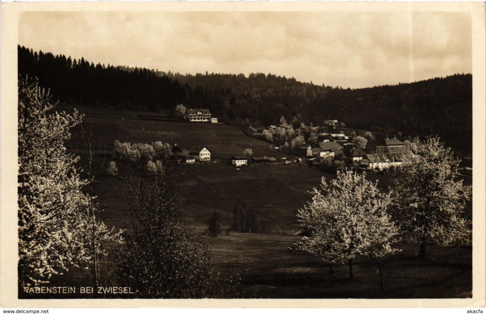 CPA AK Zwiesel Rabenstein GERMANY (892142) - Zwiesel