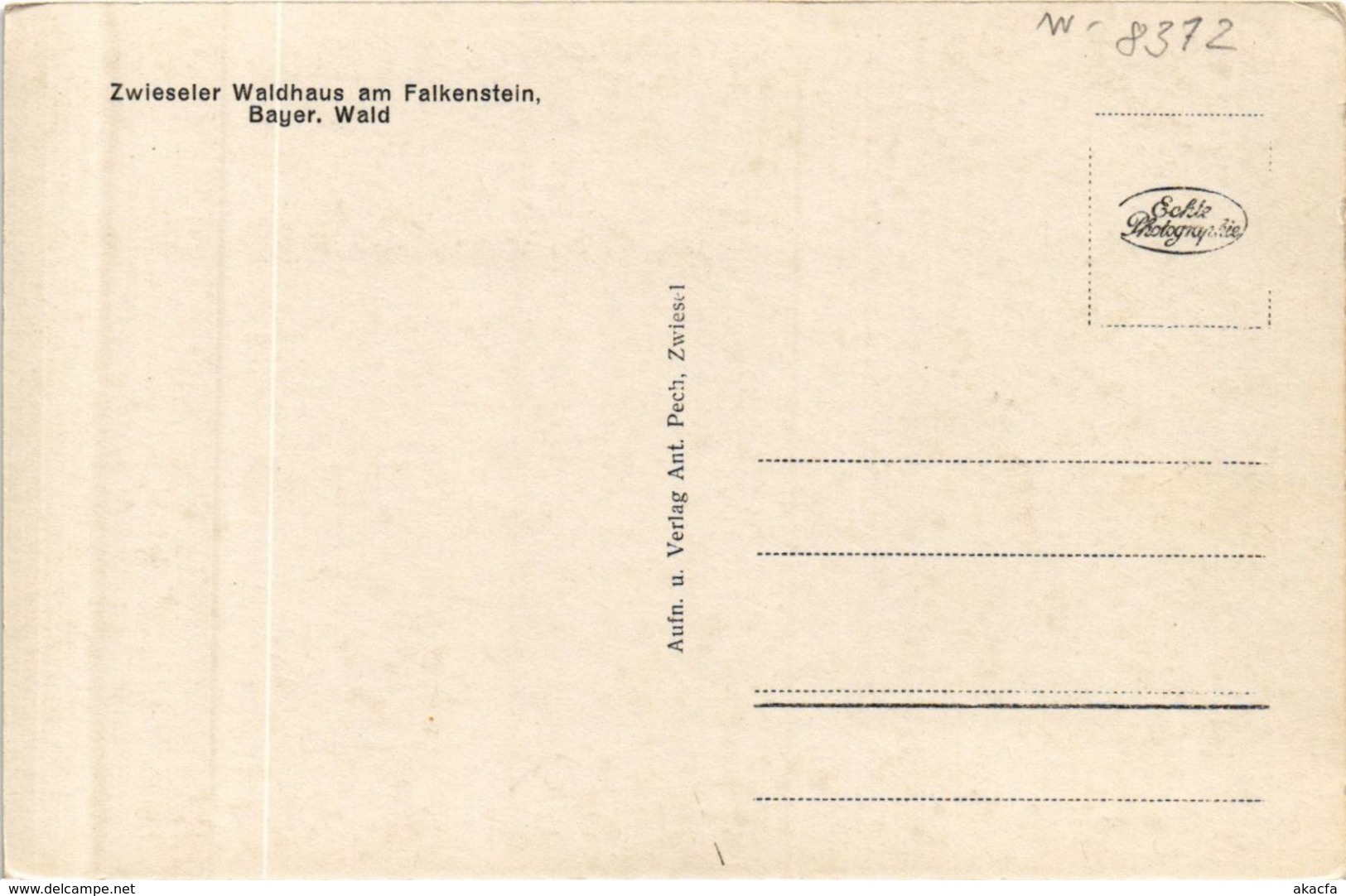 CPA AK Zwiesel Waldhaus Am Falkenstein GERMANY (892152) - Zwiesel