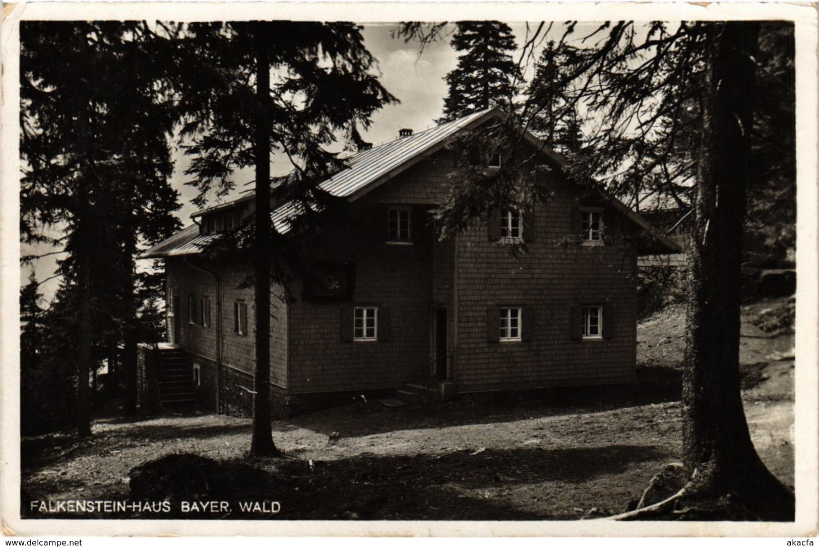 CPA AK Zwiesel Falkenstein-Haus GERMANY (892162) - Zwiesel