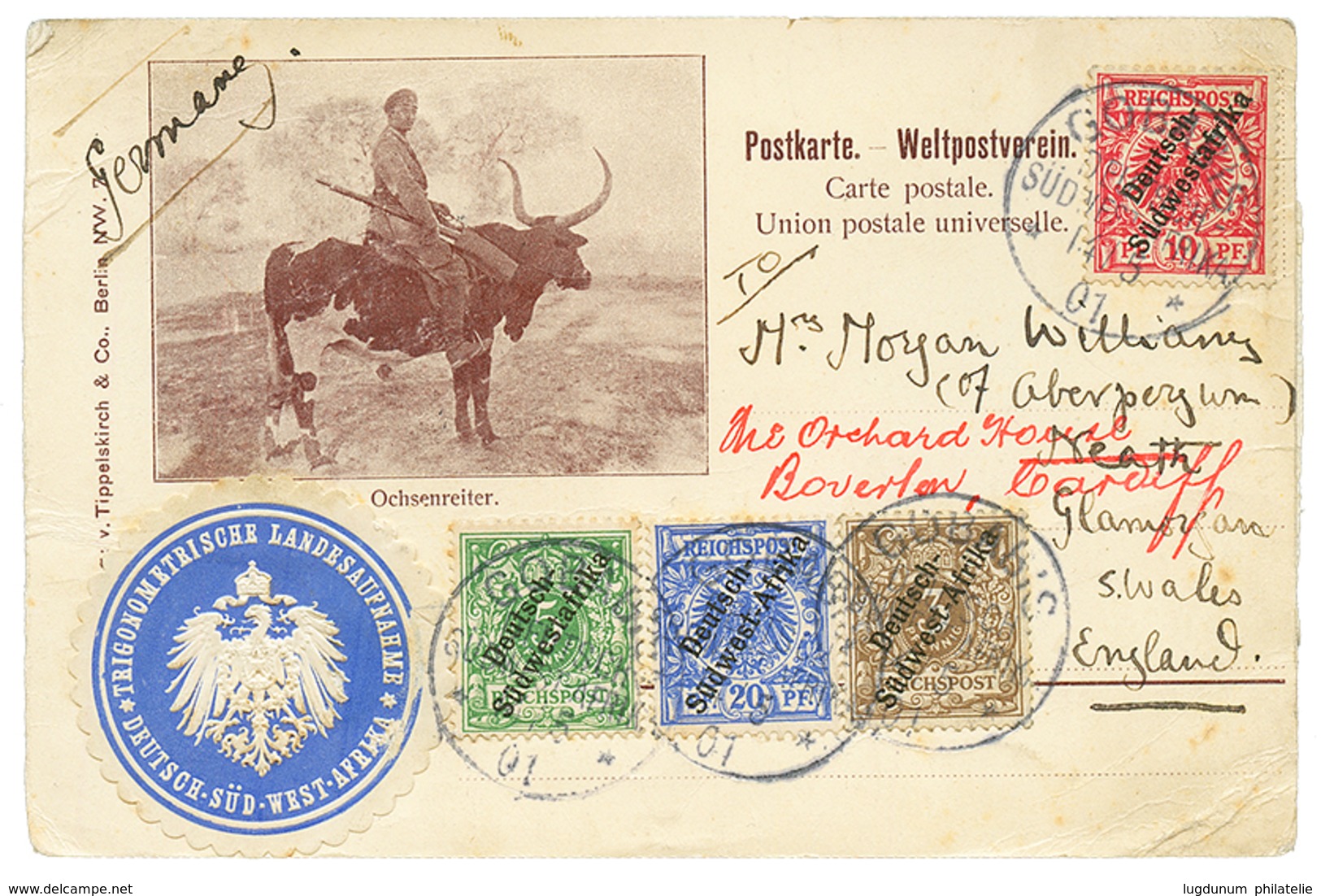 "DAMARALAND" : 1901 3pf+ 5pf+ 10pf+ 20pf Canc. GOBABIS On Superb Illustrated Card "OCHSENREITER" Send From DAMARALAND To - África Del Sudoeste Alemana