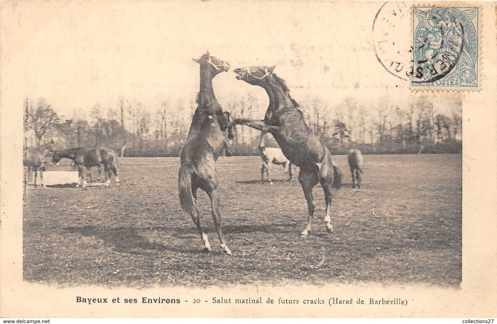 14-BAYEUX- ET SES ENVIRONS, SALUT MATINAL DE FUTURS CRACKS- (HARAS DE BARBEVILLE ) - Bayeux