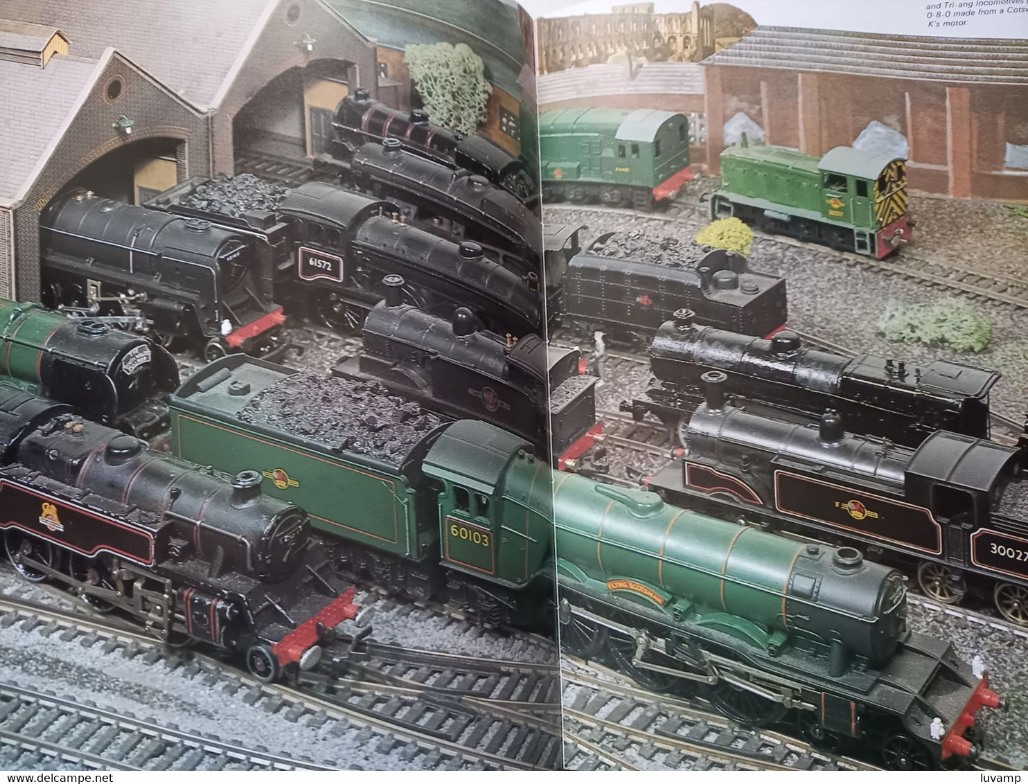 THE WORLD OF MODEL TRAINS -EDIZION BISON BOOKS 1978 ( CART 70) - History