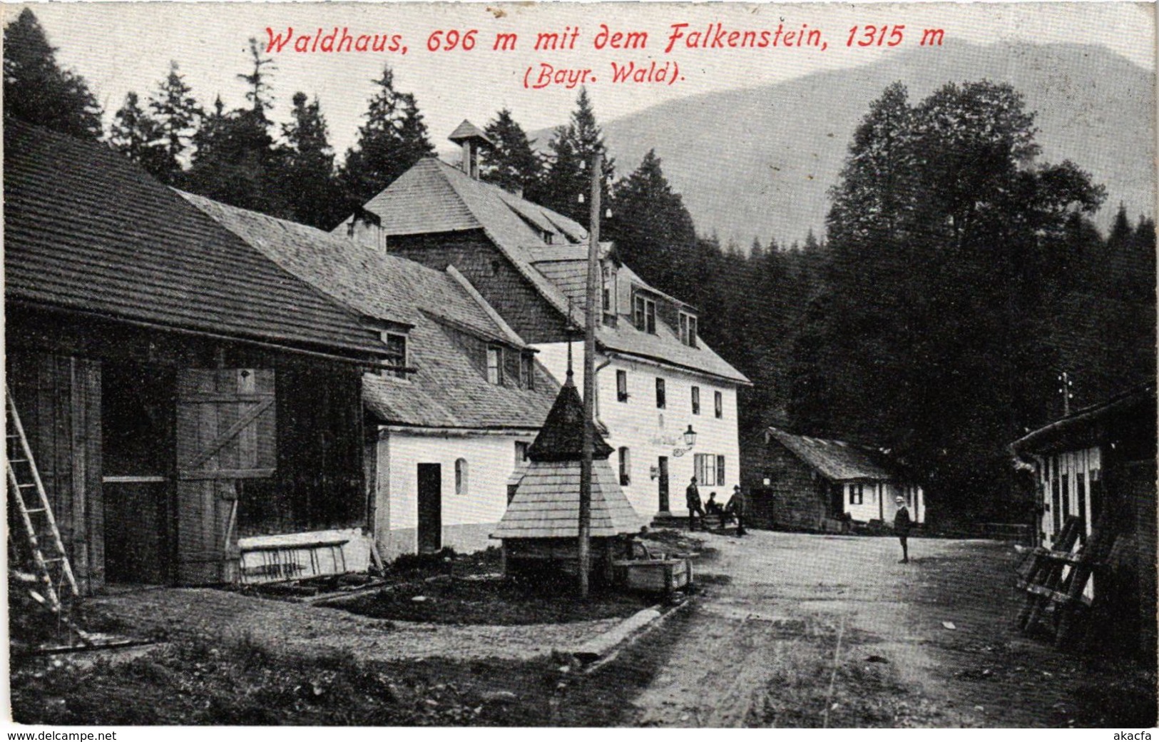 CPA AK Zwiesel Waldhaus Mit Dem Falkenstein GERMANY (892183) - Zwiesel