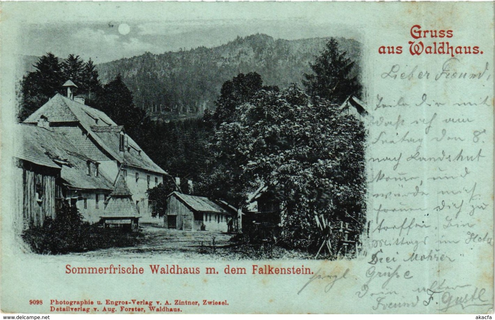 CPA AK Zwiesel Sommerfrische Waldhaus M.dem Falkenstein GERMANY (892186) - Zwiesel