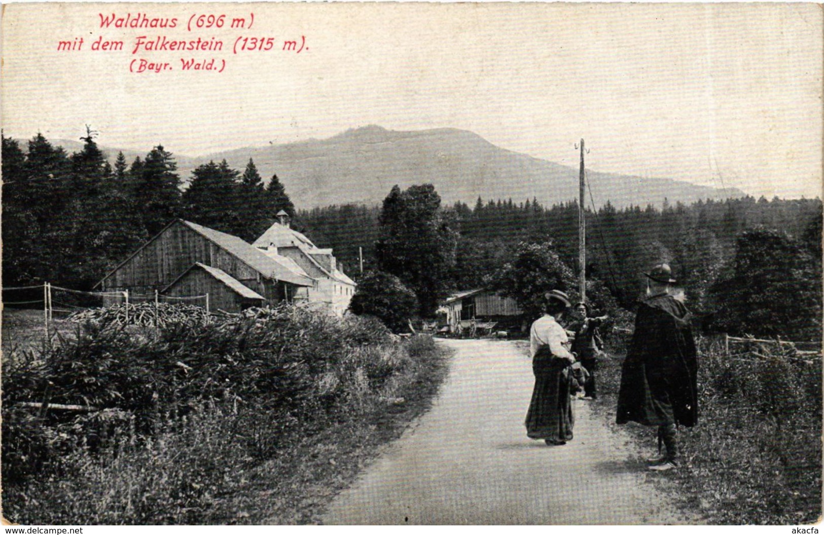 CPA AK Zwiesel Waldhaus Mit Dem Falkenstein GERMANY (892233) - Zwiesel