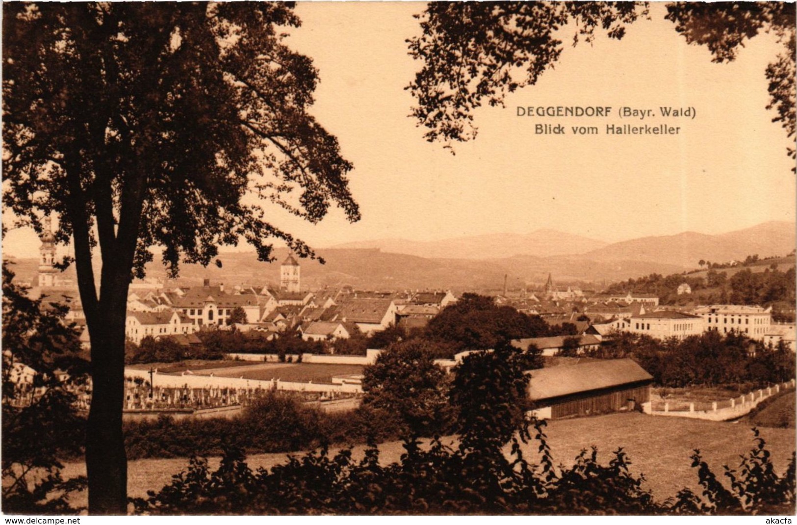 CPA AK Deggendorf Blick Vom Hallerkeller GERMANY (892385) - Deggendorf