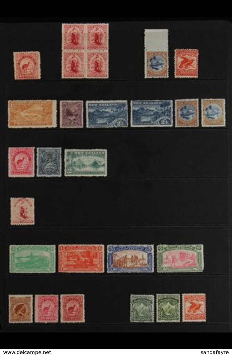 1899-1909 MINT COLLECTION On Stock Pages, Includes 1899-03 6d Rose, 1902 1d No Wmk Perf 14 Block Of 4, 1902-07 Perf 11 1 - Other & Unclassified