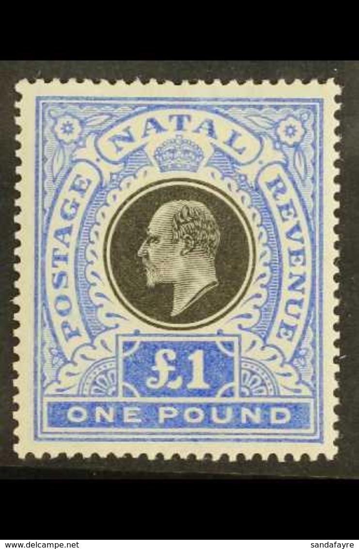 NATAL 1902 £1 Black And Bright Blue, SG 142, Very Fine Mint. For More Images, Please Visit Http://www.sandafayre.com/ite - Non Classés