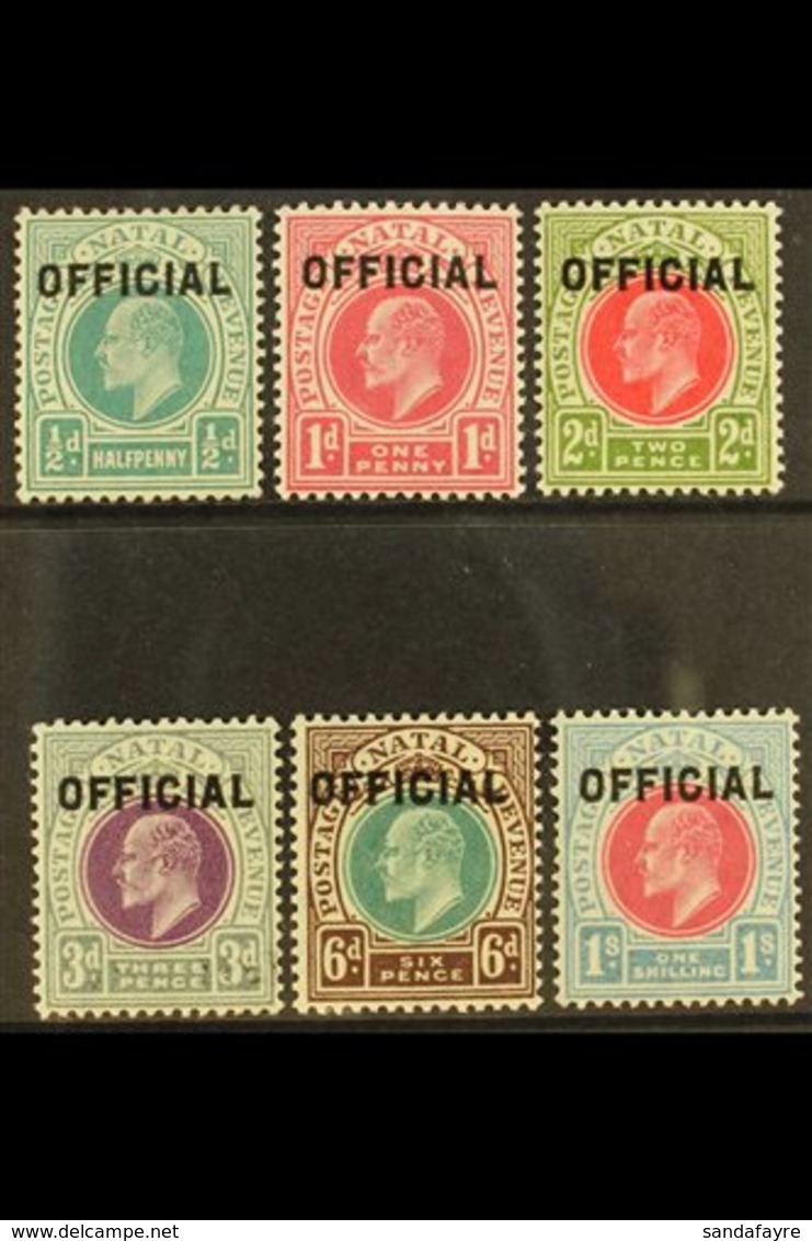 NATAL OFFICIALS 1904 King Edward VII Complete Set, SG O1/O6, Very Fine Mint. (6 Stamps) For More Images, Please Visit Ht - Non Classés