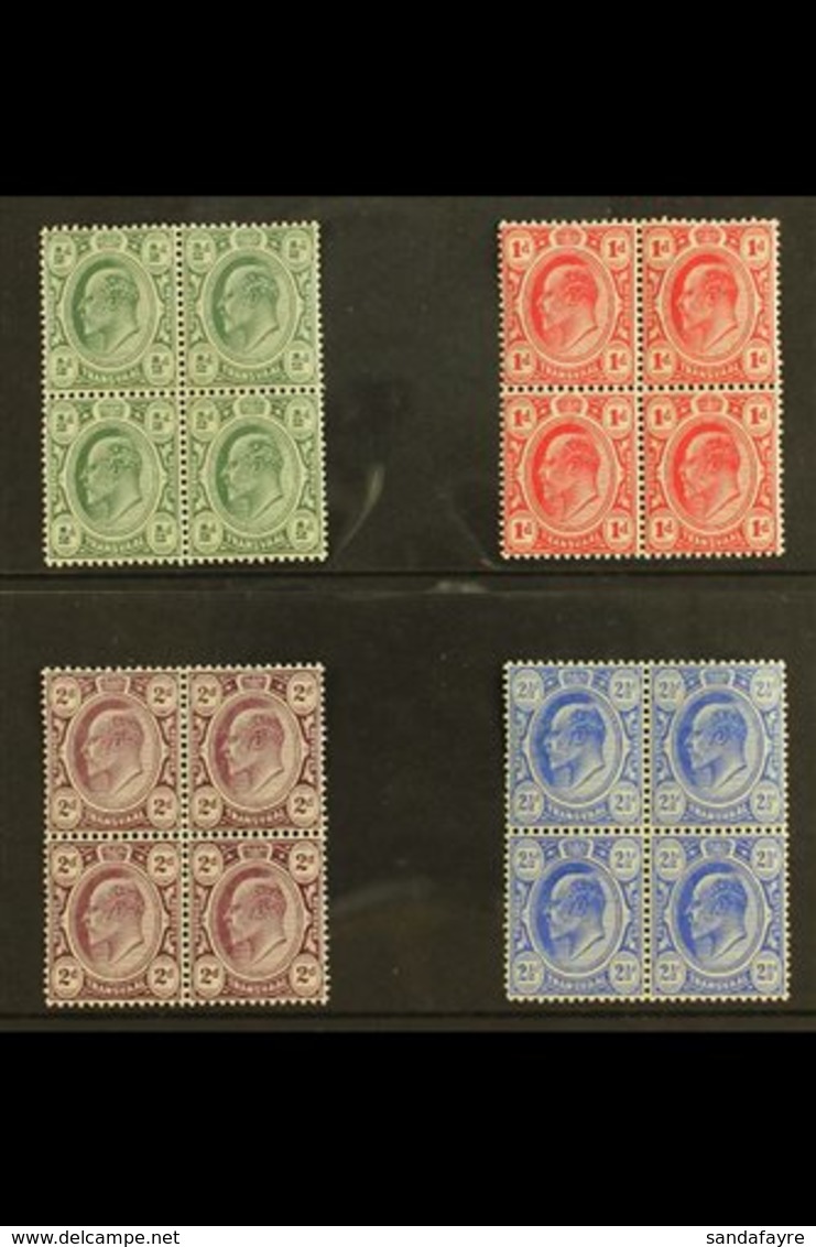 TRANSVAAL 1905-09 KEVII Set, SG 273/76, In Very Fine Mint BLOCKS OF FOUR, Three Stamps In Each Block Never Hinged. (4 Bl - Sin Clasificación