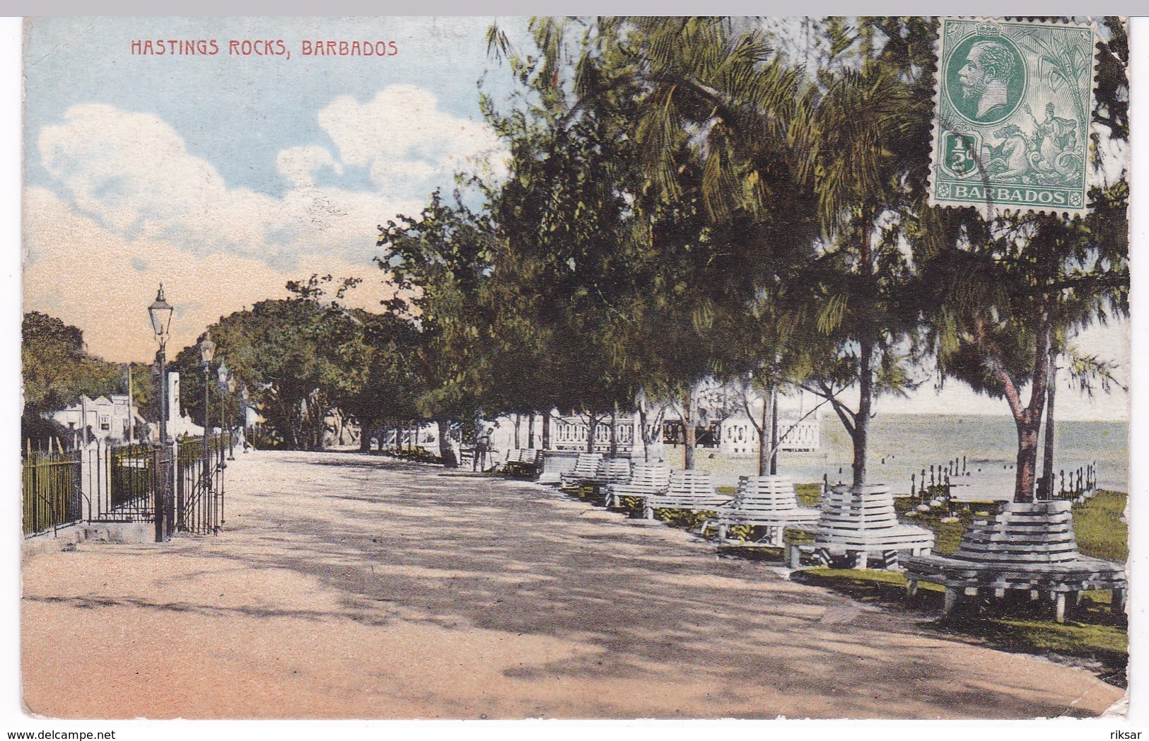 BARBADOS(ARBRE) - Barbades