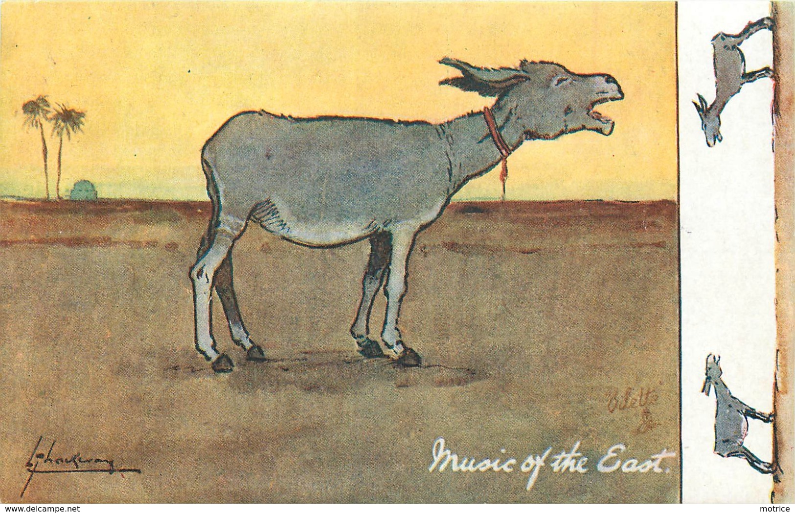 HUMOUR IN EGYPT - Music Of The East, âne, Carte Illustrée Oilette. - Burros