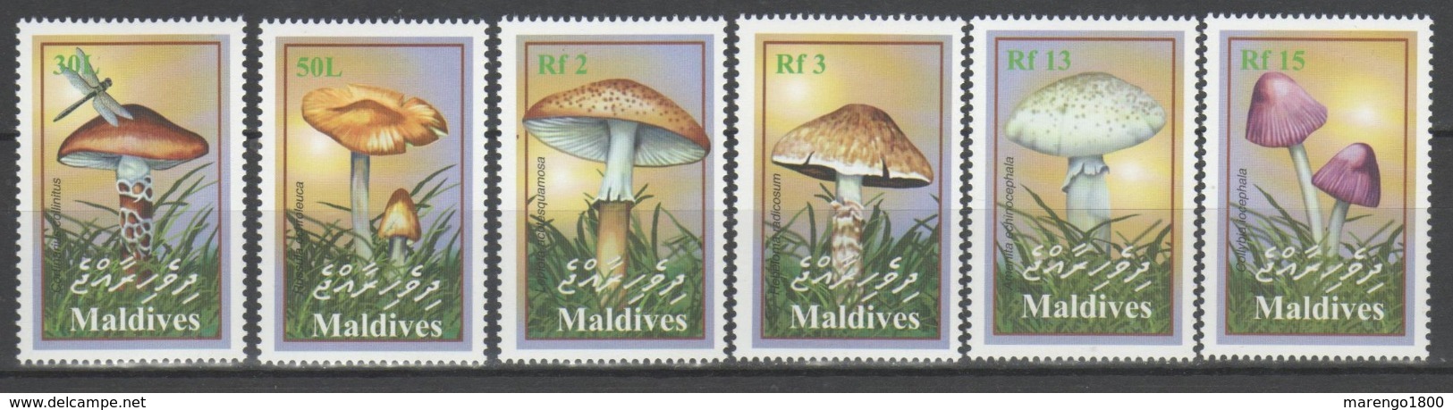 Maldive 2001 - Funghi           (g5785) - Funghi