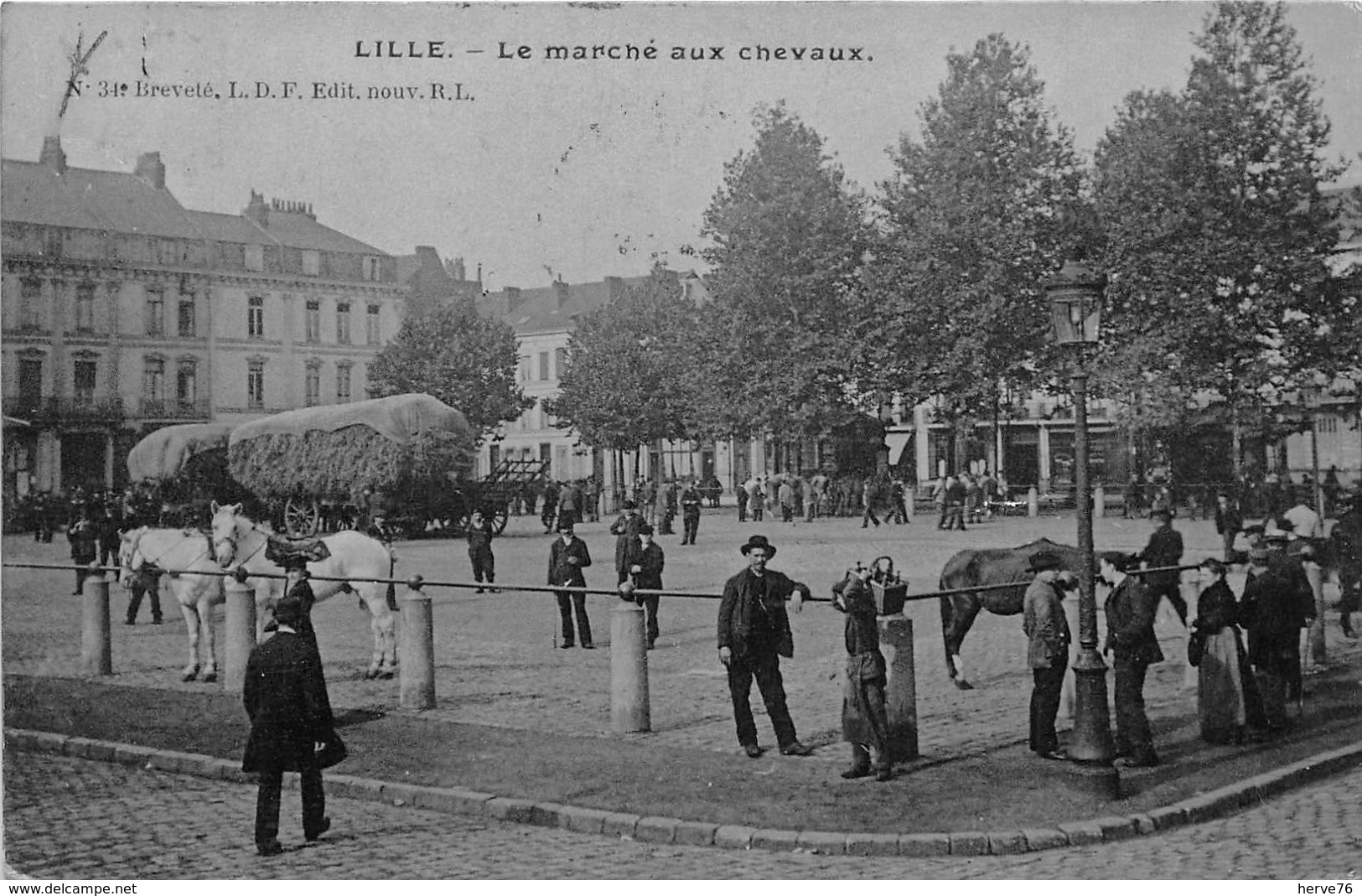 LILLE -  Le Marché Aux Chevaux - Lille