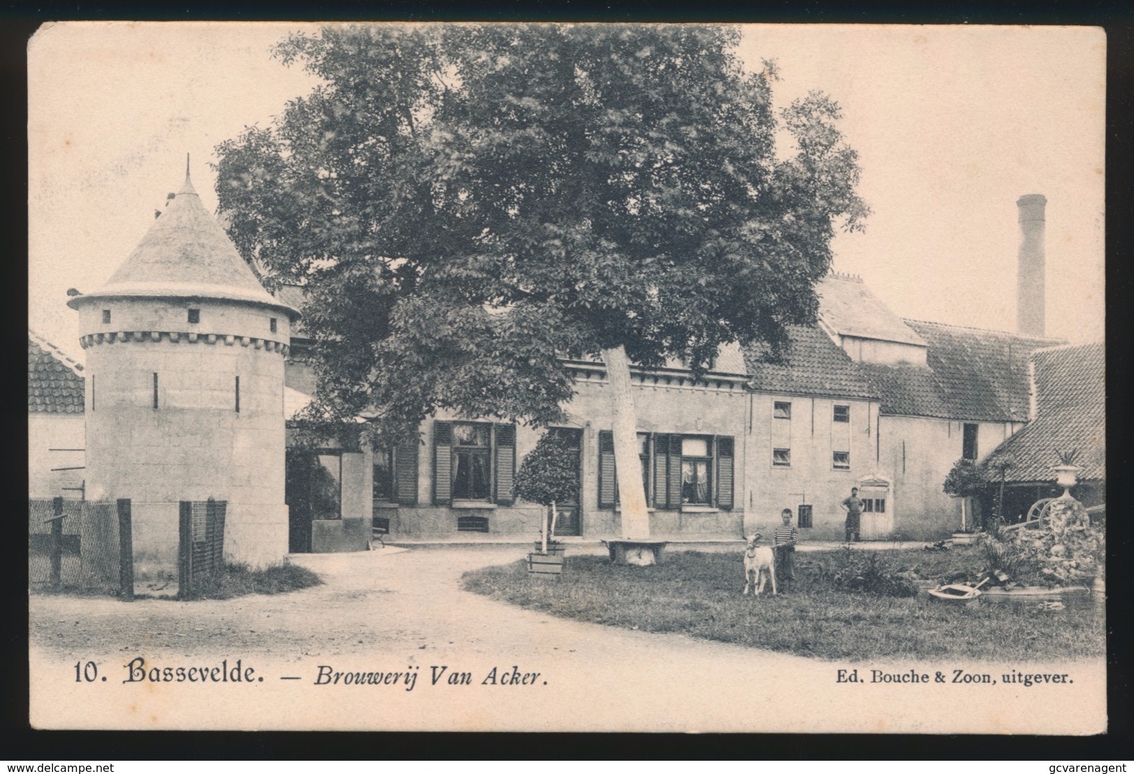 BASSEVELDE - BROUWERIJ VAN ACKER - Assenede