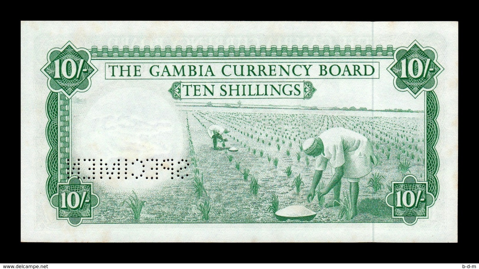 Gambia 10 Shillings 1965-1970 Pick 1s Specimen SC- AUNC - Gambie