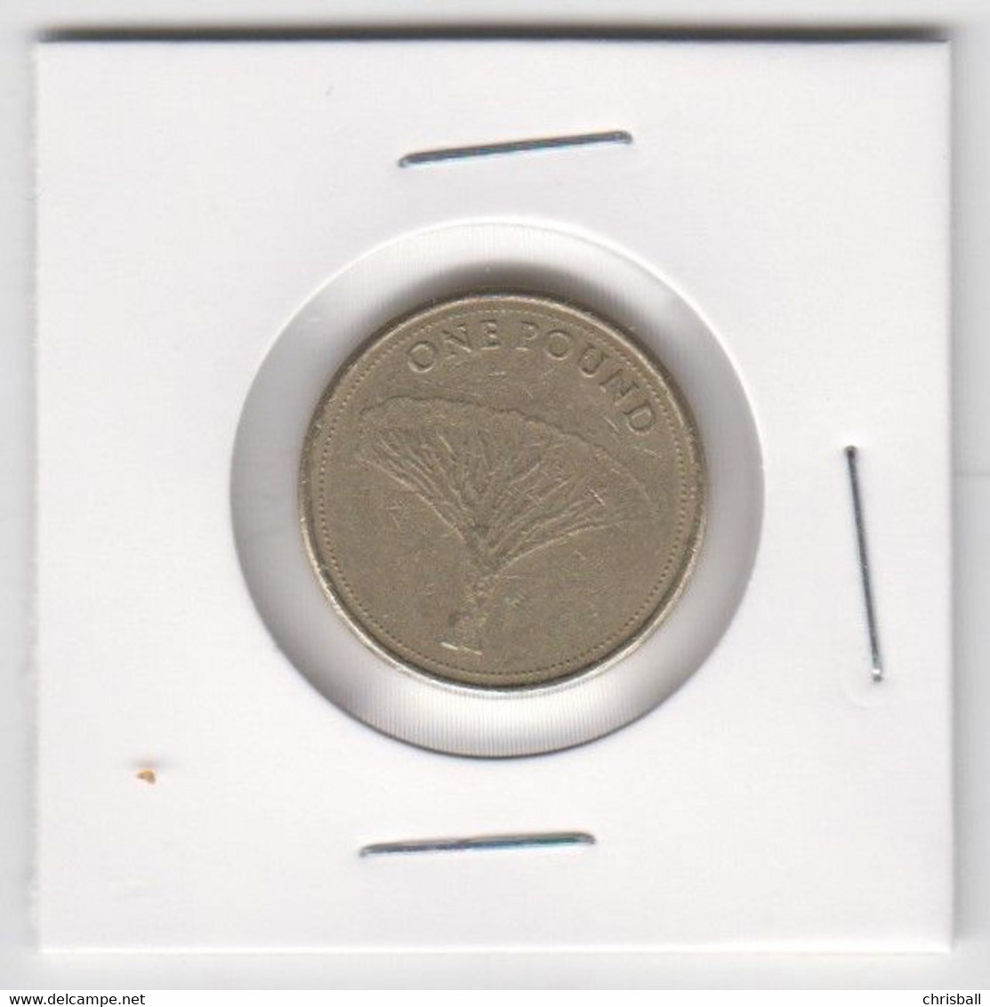 Gibraltar £1 Coin Gibraltar 2014 'Dragon Tree' Circulated - Gibraltar