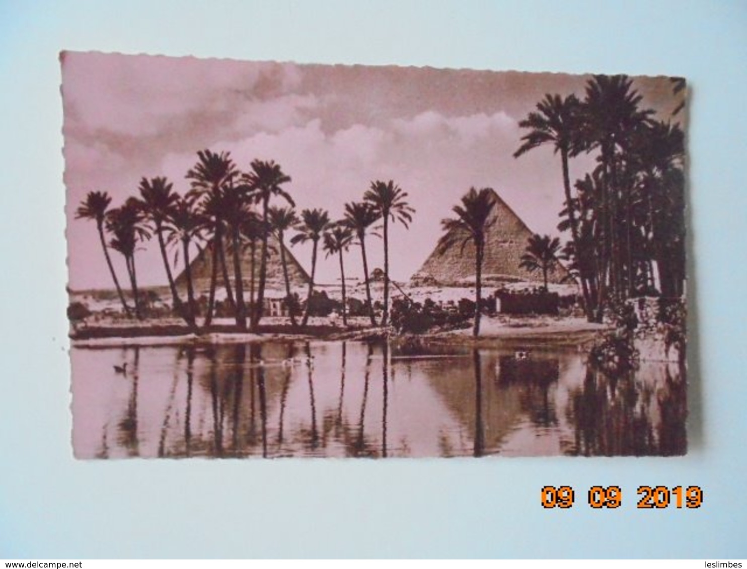 Cairo The Pyramids. Tropical Photo Stores Dated 1952 - Le Caire