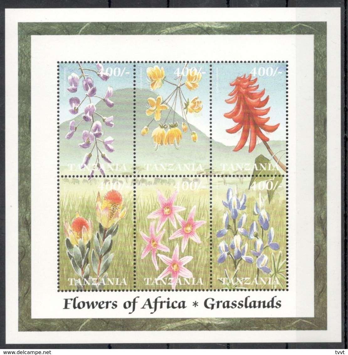 Tanzania, 2000. [tan0029] Flowers (s/s) - Sonstige & Ohne Zuordnung