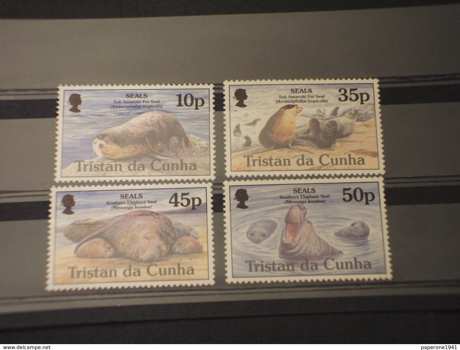 TRISTAN DA CUNHA - 1995 FAUNA MARINA 4 VALORI -  NUOVI(++) - Tristan Da Cunha