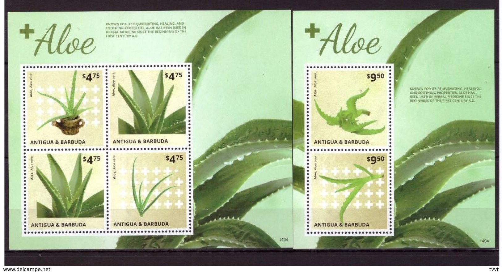 Antigua And Barbuda, 2014. Aloe (s/s+block) - Medicinal Plants